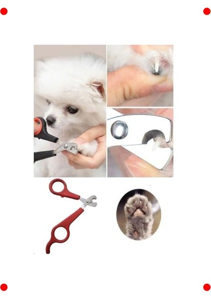 Evcil Hayvan Tırnak Makası | Çelik & Ergonomik Tutuş indirimleri