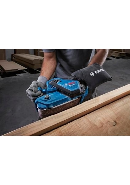 Professional Zımpara Gbs 750 fiyatları