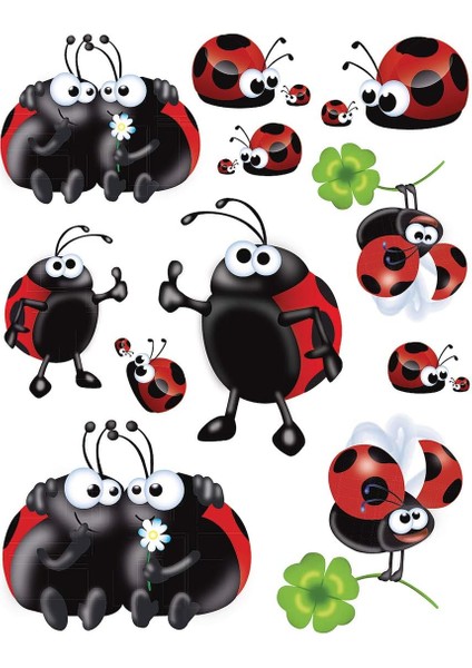 Window Cam Yüzey Etiket Ugurbocegi