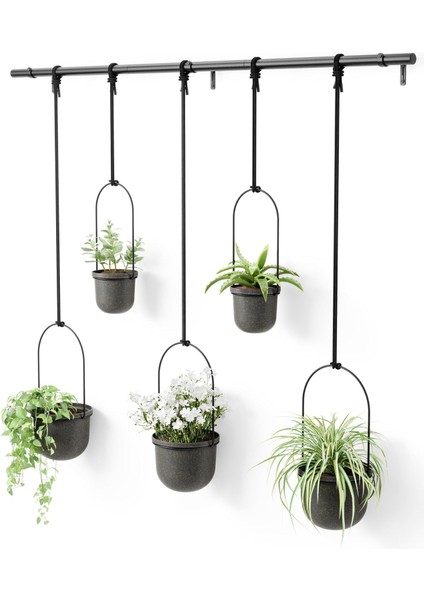 Triflora, Asma Çiçek Saksısı, Duvar, Duvar ve Tavan Montajı Için Çiçek Askısı, 5&apos;li Set, Siyah