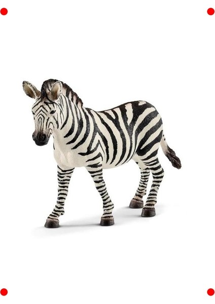 Gerçekçi Vahşi Yaşam Dişi Zebra Figürü