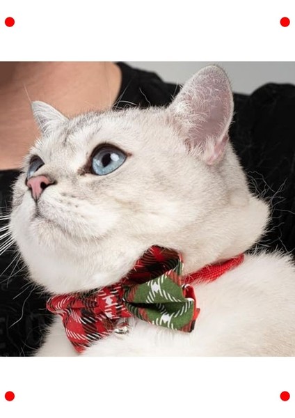 Papyonlu Ayarlanabilir Kedi Tasması (Çanlı)