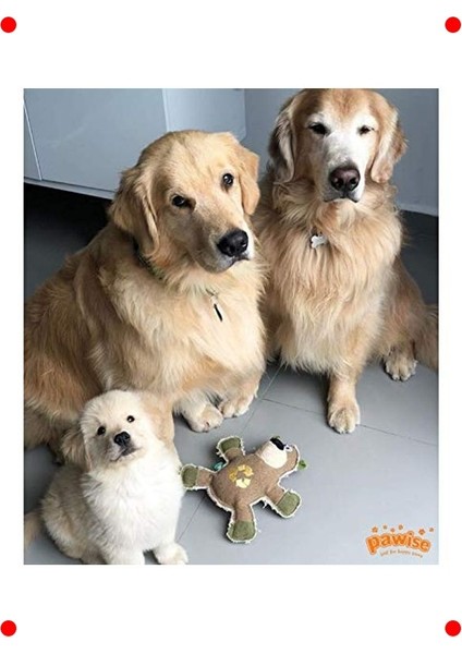 Dayanıklı Ayıcık Köpek Oyuncağı fiyatları