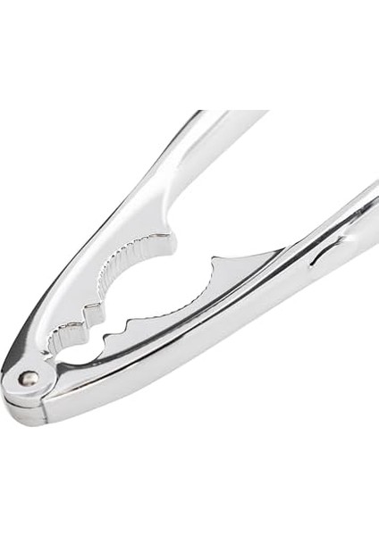 Concept Fındık Kıracağı fiyatları