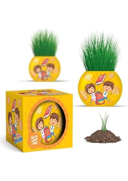 Okul Temalı Çim Adam 6&apos;lı Set – Çocuklar Için Eğitici ve Bitki Yetiştirme Kiti fiyatları