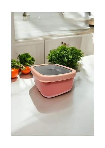 Ahmet Dikdörtgen Saklama Kabı 2 L Pembe VP-931, Pembe fiyatları