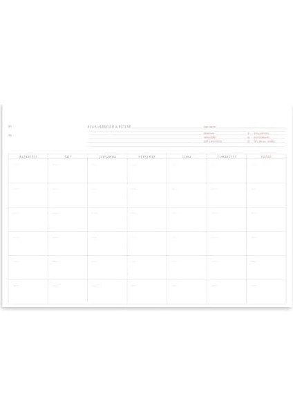 Tanıtım Tarihsiz Planlayıcı, A4 Boyutunda (21CM x 29.7cm) (Aylık Planlayıcı) modelleri