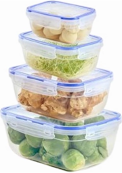 Rugs 4&apos;lü Contalı Dikdörtgen SET(400,800,1400,2300 Ml)