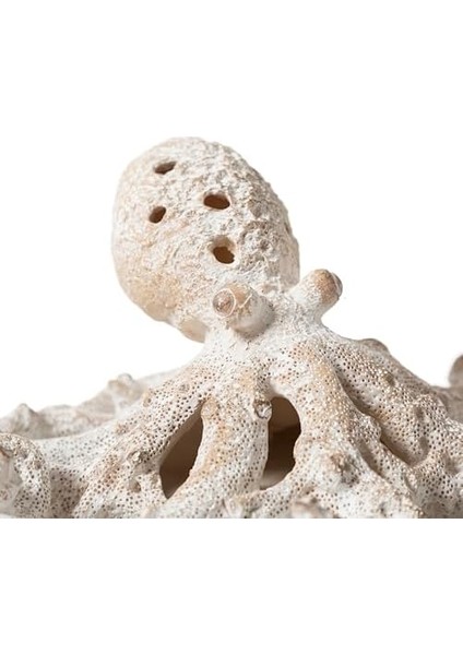 Concept Polpo Beyaz Biblo 28X24X12CM fiyatları
