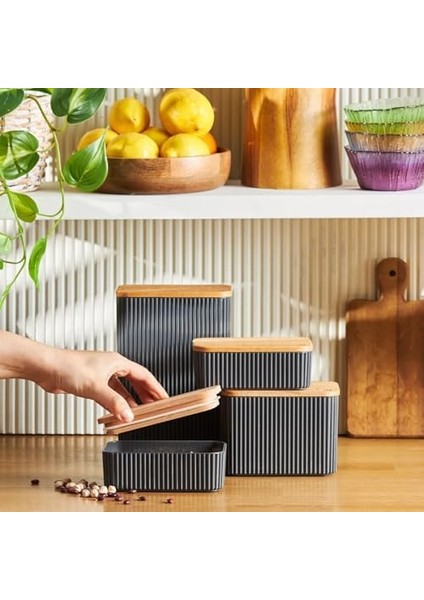 Massimo 4&apos;lü Saklama Kabı Set modelleri