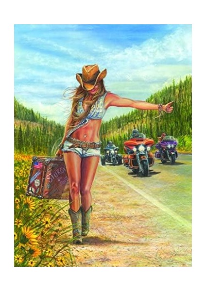 Puzzle - Otostopçu / 1000 Parça Puzzle, #1124 fiyatları