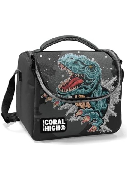 Erkek Okul Okul Beslenme Çantası - Siyah Gri Dinazor - Astarlı modelleri