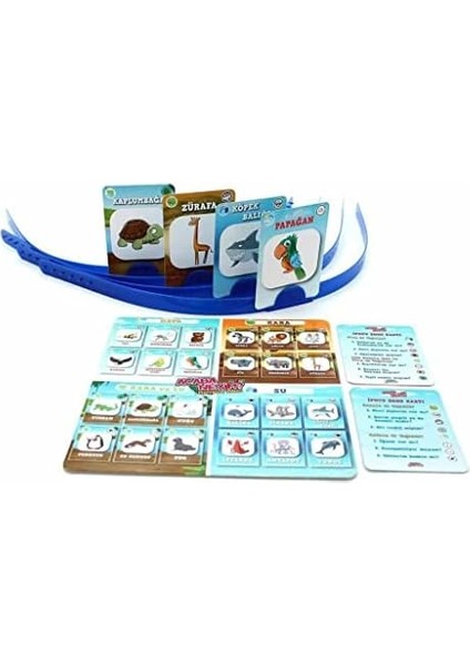 Games 1 Acaba Neyim? Jr. Hayvanlar Alemi, Renkli modelleri