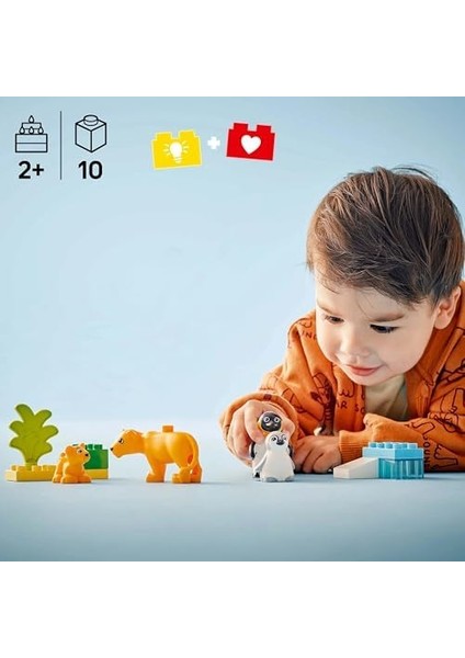 Town Vahşi Hayvan Aileleri: Penguenler ve Aslanlar 10442-2 Yaş ve Üzeri Çocuklar Için Eğitici ve Yaratıcı Oyuncak Yapım Seti (10 Parça) modelleri