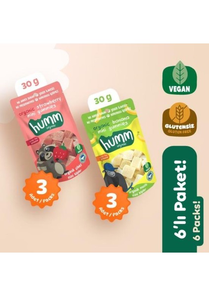 Organik Glutensiz Vegan Mini Küpler Atıştırmalık Paketi - 6 Adet (2 Çeşit)