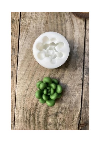 Concept Sukulent Mum Kalıbı (Silikon) modelleri
