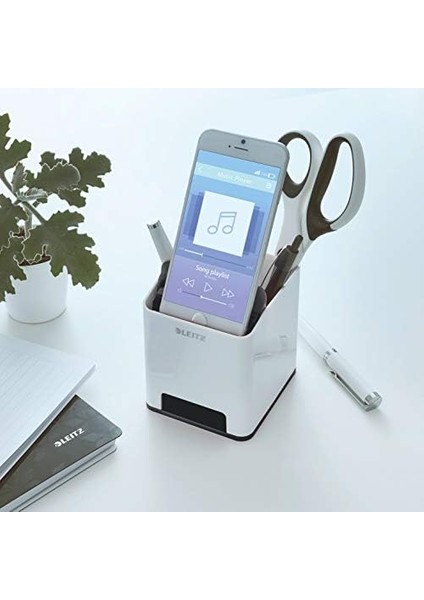 53631095 Wow modelleri