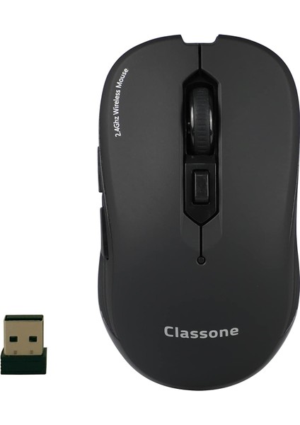 WM300 Serisi Kablosuz Mouse, Siyah