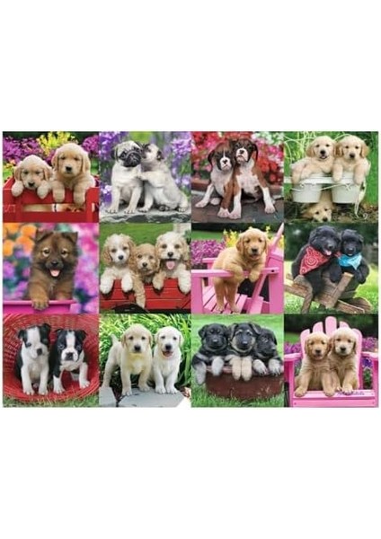 500P Puz Köpek Yavruları, Yapboz modelleri