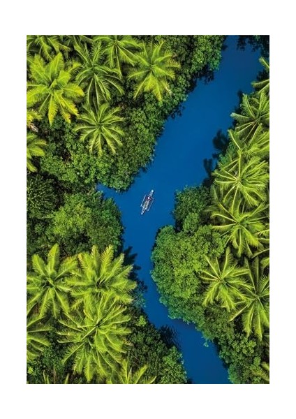 500 El. Hq Aerial View modelleri