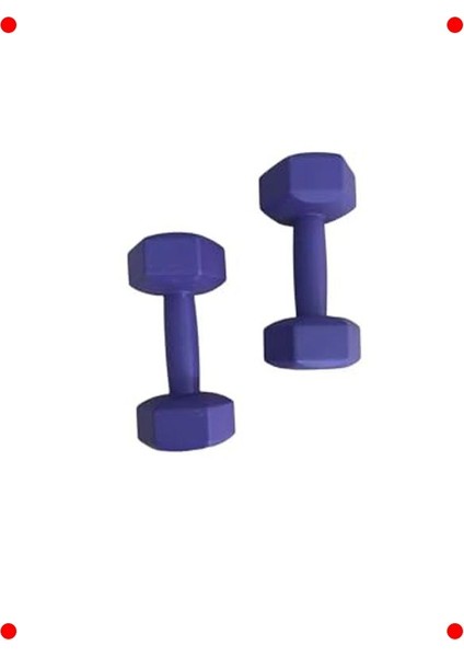 2'li 1 kg Köşeli Plastik Egzersiz Dambıl Seti fırsatları