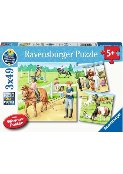 05129 3X49P Puz Ahırda Bir Gün, Çok Renkli