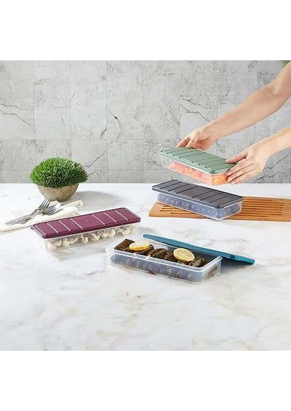 - Nora 2&apos;li 2.5 Litre Büyük Boy Gri Saklama Kabı fiyatları