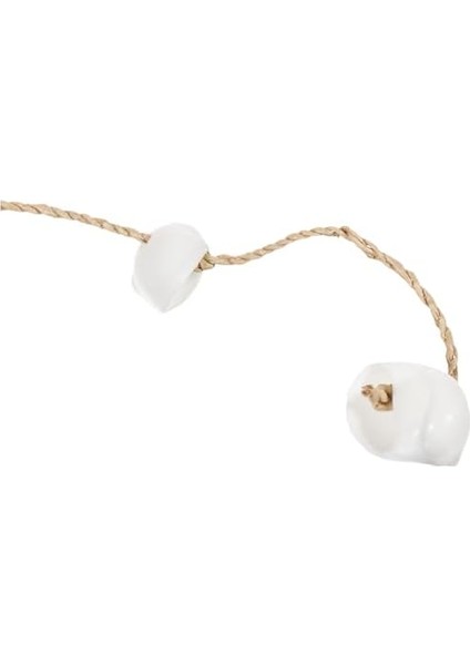 Sheel Dekoratif Obje modelleri