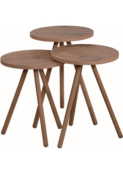 Renkli Üçlü Zigon Sehpa Ahşap Ayaklı Yuvarlak Pastel Tasarım Cappuccino