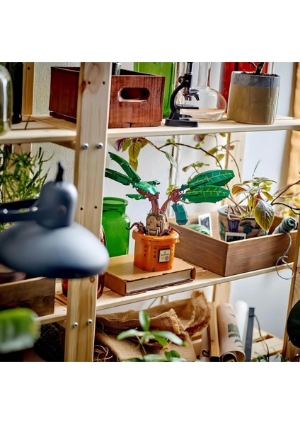 Pttr Adamotu 76433 indirimleri