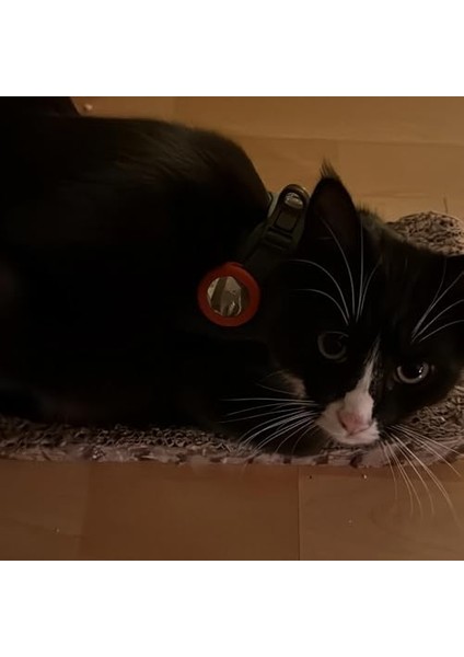 Tasmaları Için Kılıfı - Siyah modelleri