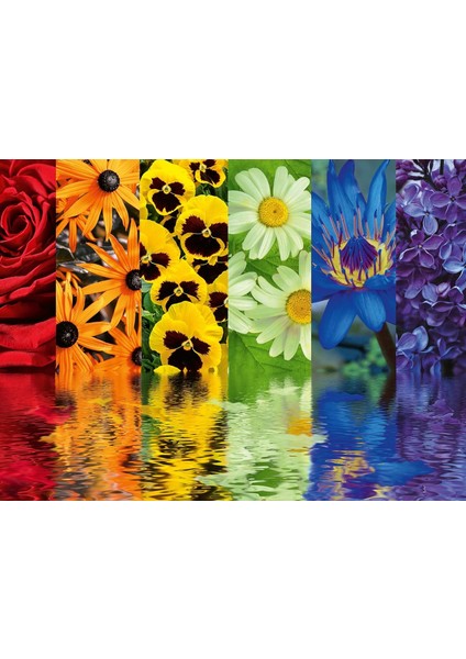 164462 500 Parça Puzzle Çiçek Yansıma, Çok Renkli