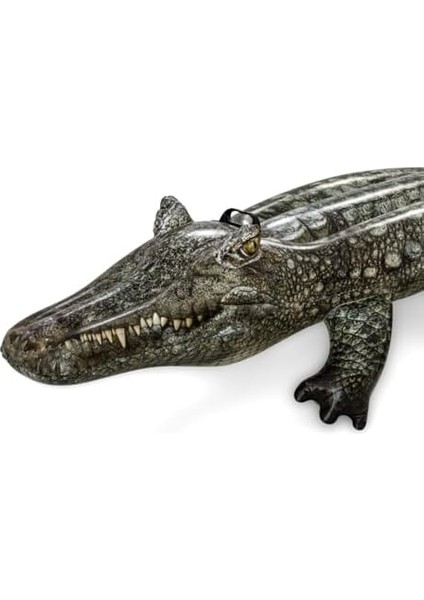 Piscina Y Playa Baby Boy Havuz modelleri