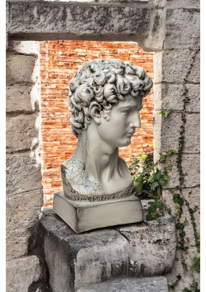 Dekoratif David Büst