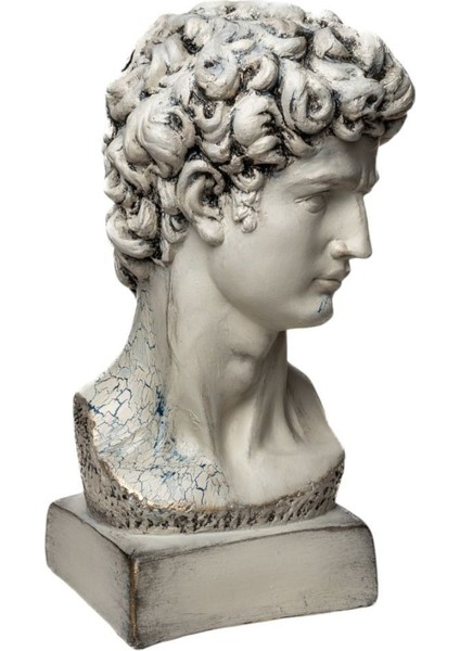 Dekoratif David Büst fiyatları