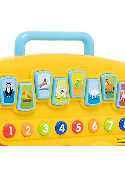 Wın- Hayvan Dostlarım Otobüsü modelleri