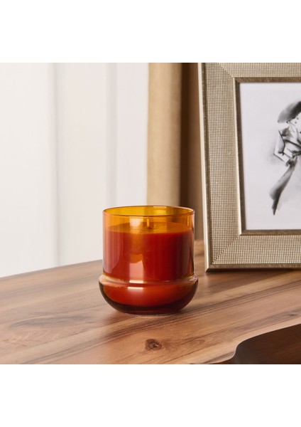 Deco Botanical Orange Mum - Turuncu - 260 gr