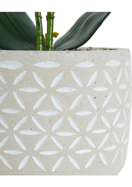 Beton Saksıda Real Touch Orkide - Pembe - 12X35 cm modelleri