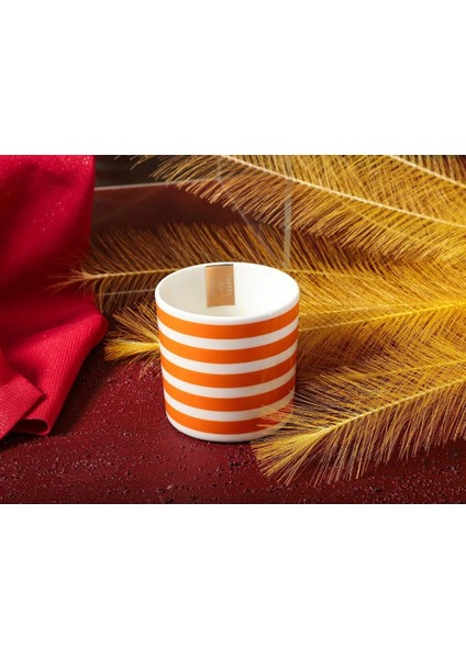 Funky Orange 230 Cc, Tekli