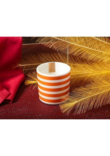 Funky Orange 230 Cc, Tekli fiyatları