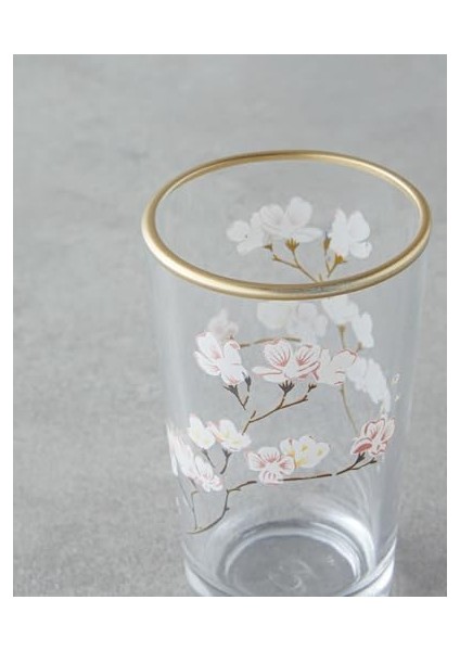 Cam Şeffaf fiyatları