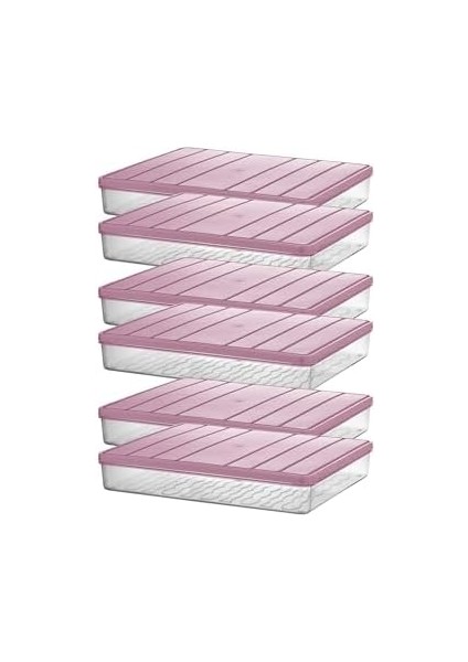 - Nora 6&apos;lı 2.5 Litre Büyük Boy Ekru Saklama Kabı modelleri