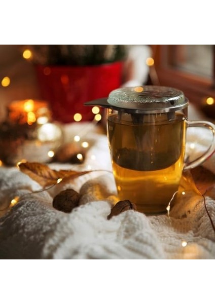 Bitki Çayı Kupası 0,35 Lt – Tek Kişilik Cam Demlik – Metal Süzgeçli & Kapaklı – Borosilikat – Kurşunsuz – Şeffaf fiyatları