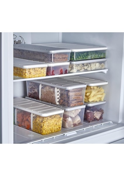 Bölmeli 2&apos;li Nora Saklama Kabı 2 Lt Açık Gri