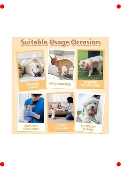 Süper Emici Evcil Hayvan Eğitim Pedi X-Large 12 Adet modelleri