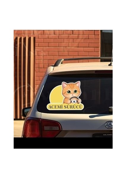 Tasarla Acemi Sürücü Sevimli Kedi Araba Etiketi & Çok Renkli modelleri