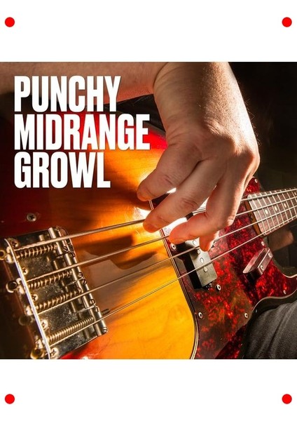 5 Telli Bas Gitar Teli Seti (40-120 Kalınlık) modelleri