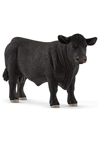 Angus Boğa Siyah fiyatları