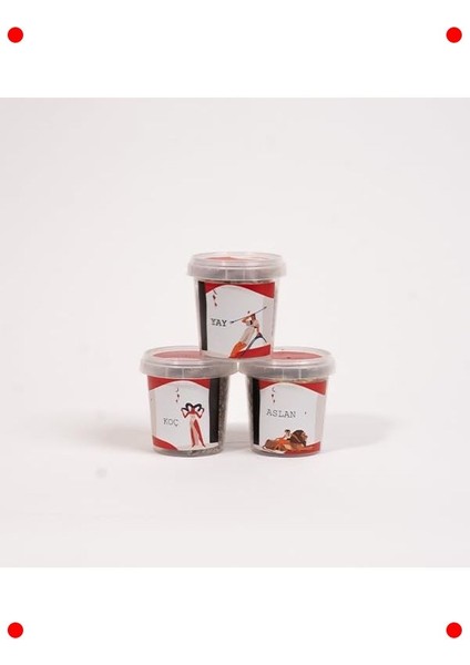 Aslan Burcu Çim Adam modelleri