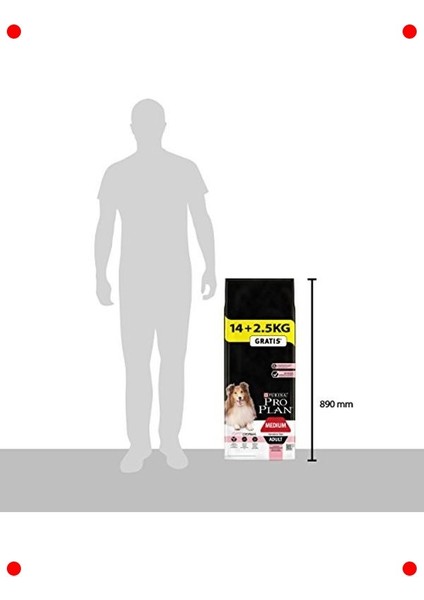 Yetişkin Orta Irk Köpek Maması | Somonlu 16.5 kg Set fırsatları